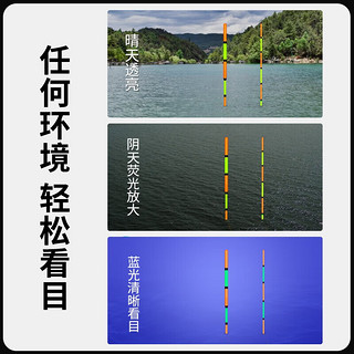 小凤仙 鱼漂小碎目超灵敏纳米漂醒目加粗尾黑坑野钓专攻滑口鲫鲤鱼浮漂 RNS-15野钓综合3目加粗