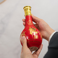 LANGJIU 郎酒 [双瓶装]郎酒红花郎15 53度酱香型白酒500ml*2瓶 纯粮 宴请送礼