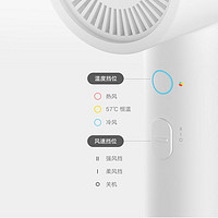 Xiaomi 小米 MI 小米 米家电吹风机家用H300