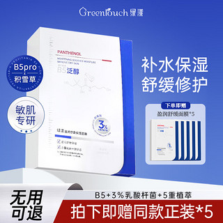 绿漾（Greentouch）B5面膜提亮肤色补水舒缓保湿清爽控油清洁黑头收缩毛孔淡化痘印男 买5餸5【十盒】