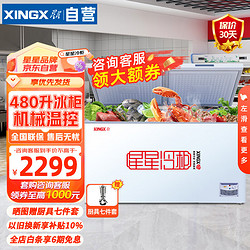 XINGX 星星 480升 商用卧式冰柜 大容量冷藏冷冻转换冷柜 超市餐饮店冰箱 BD/BC-480E