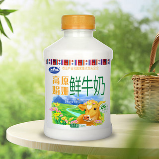 青海湖高原娟姗鲜牛奶500ml 高端奶牛 鲜奶 低温奶 巴氏杀菌  娟姗鲜牛奶500ml 100%娟姗牛牛乳