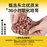 糙米大匠 即食糙米饭团 80g*3包