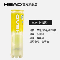 HEAD 海德 网球比赛训练用球单人练习球TEAM TEAM（4粒装）单罐