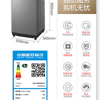 小天鹅 TB100V203DB 变频波轮洗衣机 10KG