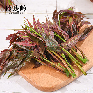 玲珑岭当季头茬嫩香椿芽500g云南仿野生红油春芽叶蔬菜