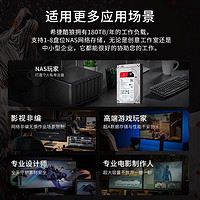 SEAGATE 希捷 NAS硬盘 2TB 256MB 5400转 PMR CMR垂直技术 网络存储 SATA 希捷酷狼  ST2000VN003