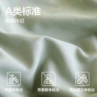 网易严选水洗棉系列-A类柔有氧全棉四件套2代 【升级加厚】海屿蓝 【枕套】1对：48*74cm