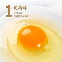 逗别三日 湖南省鸡蛋大王 农家散养新鲜土鸡蛋低至9.9
