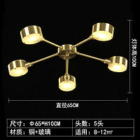 奥灯北欧风全铜吸顶灯餐厅温馨浪漫公寓客厅家用低楼层轻奢灯具6200 5头全铜圈灯罩吸顶灯
