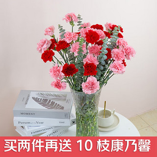 JIANSHI 简势 香水百合鲜花批发云南昆明直发家庭水养鲜切花基地直发每周一花 康乃馨10枝+5枝尤加利叶