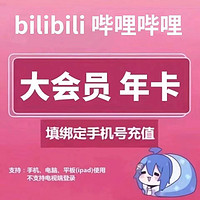 bilibili 哔哩哔哩 大会员B站年卡 12个月