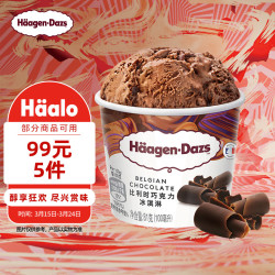哈根达斯 比利时巧克力口味 冰淇淋  100ml/杯 100mL 1