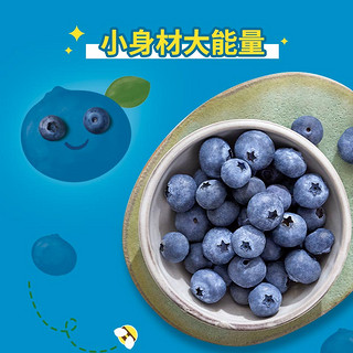 怡颗莓新鲜水果云南蓝莓 125g*6盒