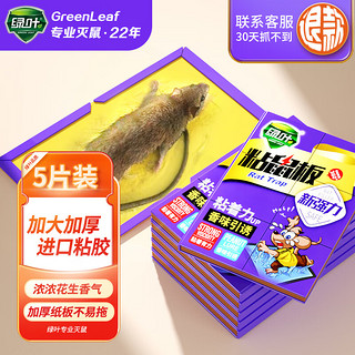 绿叶（Green Leaf）粘鼠板粘鼠胶捕鼠器超强力灭鼠粘板五片装GLGL2116/5ZZ