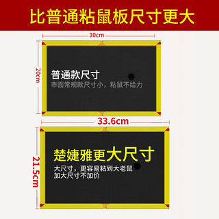 楚婕雅强力粘鼠板10片老鼠贴超强力粘板加厚灭鼠老鼠一窝端家用黏鼠