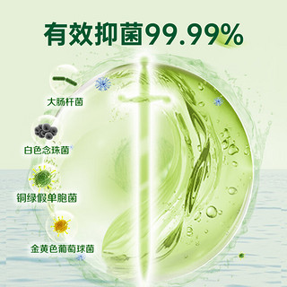 Dettol 滴露 抑菌洗手液茉莉与绿茶清香500g 迪士尼版 滋润 茉莉绿茶香500g