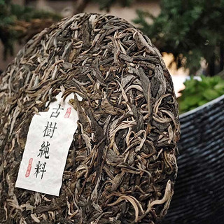 茶专嘉 春茶老班章普洱生茶饼纯料古树300年树龄礼盒 357g1饼