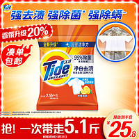 Tide 汰渍 净白去渍洗衣粉 2.8kg 柠檬清新型