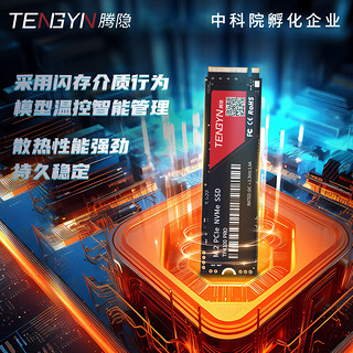 腾隐 TENGYIN）精选长江存储晶圆台式机笔记本SSD固态硬盘PCIe4.0 NVMe TP4100PRO 1TB 7500MB/S