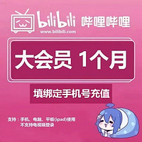 bilibili 哔哩哔哩 大会员1个月