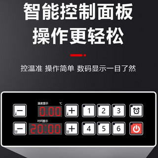 NGNLW商用电脑版油炸机903电炸炉双缸油炸锅炸鸡店炸锅油炸炉炸串   903E数码款