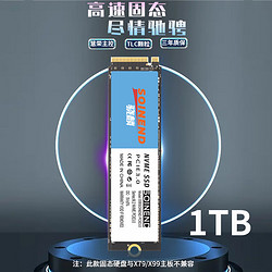 SOINEND 骁麟 1TB M2 NVME 固态移动硬盘 PCIE3.0