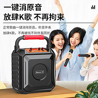 Newsmy 纽曼 K220广场舞音响蓝牙音箱户外大音量家用K歌重低音炮播放器