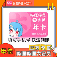 bilibili 哔哩哔哩 会员12个月