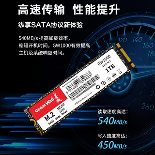长城（Great Wall) 256GB SSD固态硬盘 M.2接口SATA协议 读速540MB/S GW1000系列