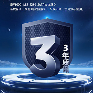 长城（Great Wall) 256GB SSD固态硬盘 M.2接口SATA协议 读速540MB/S GW1000系列