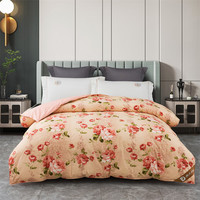 奈士迪95白鹅绒加厚全棉冬被被芯羽绒被子春秋春夏被保暖双单人被芯 花香 200*230cm（填充1200g）冬款