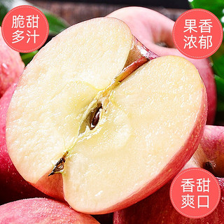 luochuanapple 洛川苹果 青怡陕西红富士净重1.75kg 单果135g起