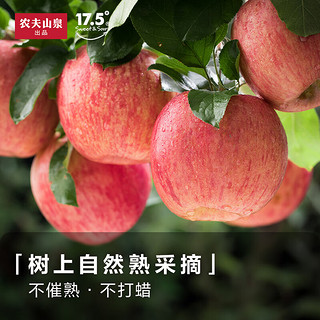 农夫山泉【优选】17.5°度阿克苏苹果 苹果礼盒红富士苹果生鲜水果 装XL#果 15枚