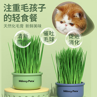 MamyPets 猫草土培盆栽懒人猫零食猫薄荷去毛球化毛草猫咪宠物用品 猫草种植套装丨MamyPets妈咪严选