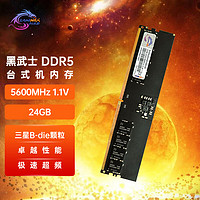 SK hynix 海力士 新乐士（SAMNIX）24GB DDR5台式机内存条 5600MHz C45/46  优选颗粒 Black Knight黑武士电竞游戏