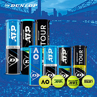 DUNLOP 邓禄普 网球耐打训练球澳网ATP初学健身练习比赛用球