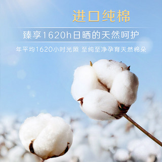 kotex 高洁丝 臻选日夜组合卫生巾超薄透气护垫姨妈巾36片