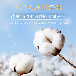 kotex 高洁丝 卫生巾 臻选纯棉日夜套装 0.08极薄棉柔透气无感 组合装 日夜10包