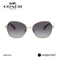 COACH 蔻驰 女款时尚个性不规则形板材渐变太阳镜墨镜0HC7112
