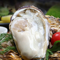 顺丰冷链!乳山生蚝 3XL 源头直发 2.5斤(带官方溯源防伪标识、死蚝包赔)