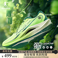 乔丹QIAODAN强风2PRO运动鞋男跑步鞋马拉松竞速碳板跑鞋体测鞋 飞影绿/深渊绿 -青提 40.5