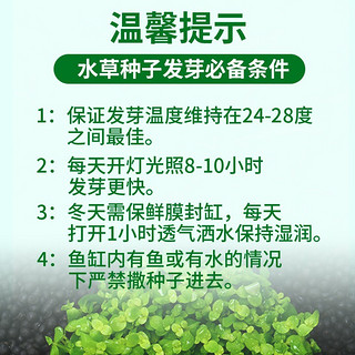 YEE鱼缸水草种子鱼缸造景对叶水草泥真水草懒人水草种籽牛毛水草植物 迷你对叶15g+迷你牛毛15g（适用种植面积40×