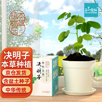 Bloom Life 匠心绽放 IAM City Farmer决明子 本草种植 儿童种植小盆栽 植物观察 草药种植 儿童礼物