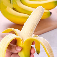 新鲜现摘当季天宝蕉香蕉 精选果（17-22根） 5斤