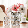 ins玻璃花瓶轻奢高级感摆件客厅插花花瓶透明富贵竹鲜花花器