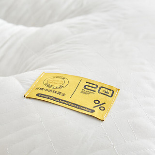 南极人（home）大豆蛋白纤维枕头低枕深度护颈枕睡眠立体网边枕芯整头定型高枕 白色 高枕48*74一只装