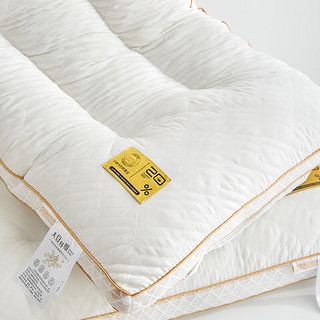 南极人（home）大豆蛋白纤维枕头低枕深度护颈枕睡眠立体网边枕芯整头定型高枕 白色 高枕48*74一只装