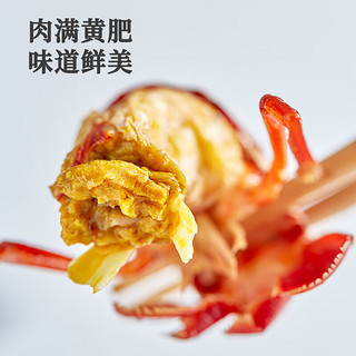 JIMMY 莱克吉米 莱克十三香小龙虾700g 4-6钱 净虾500g 中号22-26只整虾加热即食礼盒