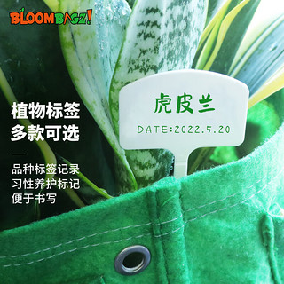 BloombagzPP塑料花卉牌标签牌园艺防水插地牌多肉植物自动滴灌器